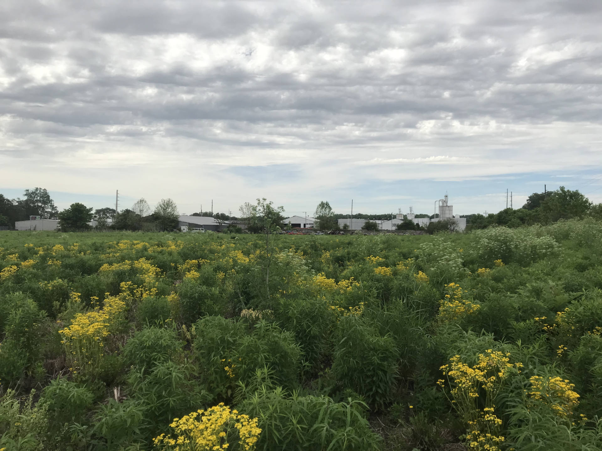 Logansport Case Study